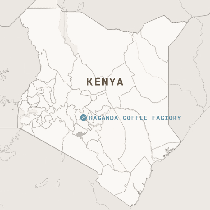 Kenya AA Kaganda Factory