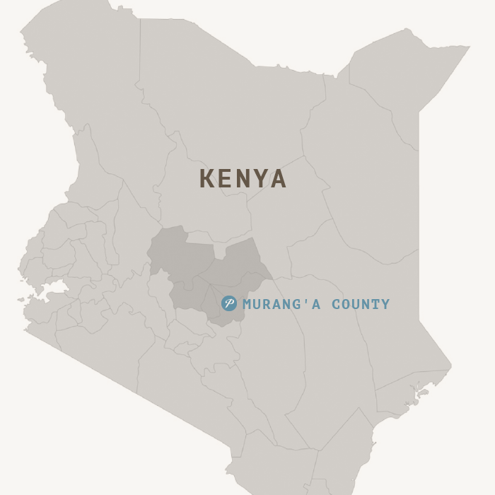 Kenya AA Murarandia Factory