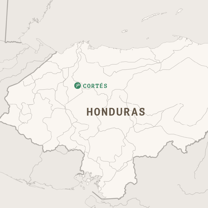 HONDURAS ORGANIC SWISS WATER PROCESS DECAF HG EP 2025