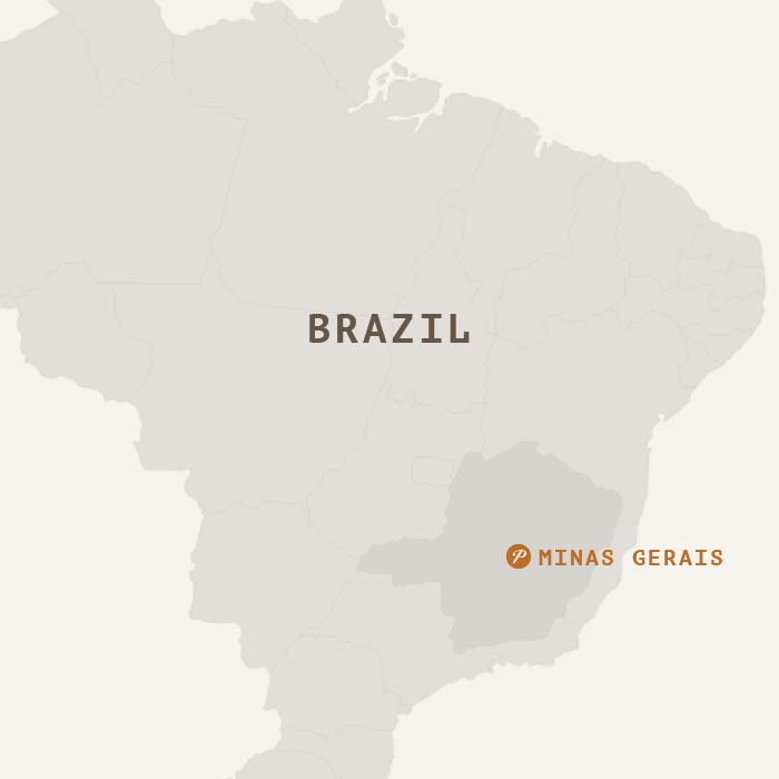 Brazil Salmo Plus Dark Roast
